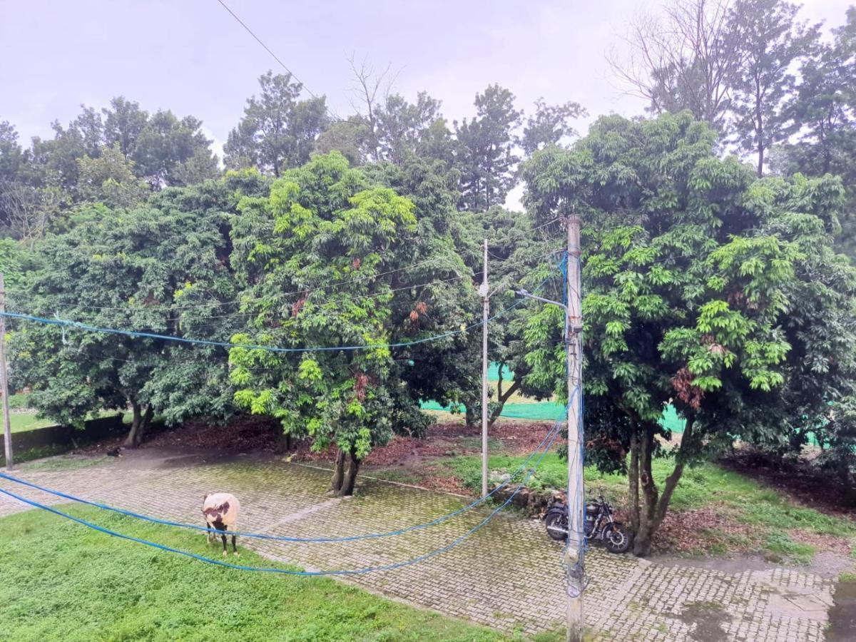 Nature View Homestay Dehradun Exteriör bild
